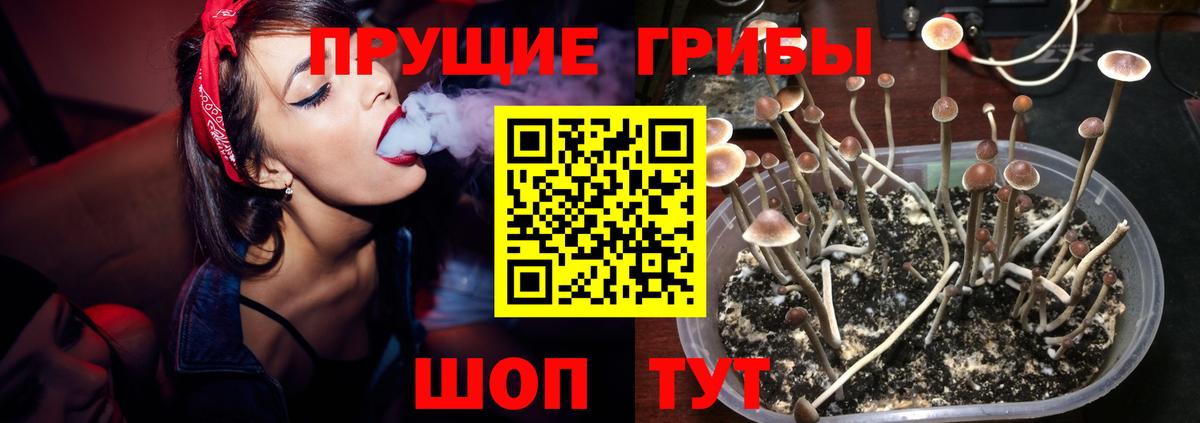 Галлюциногенные грибы ЛСД Канаш