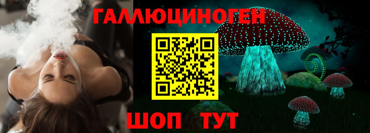 Галлюциногенные грибы Psilocybe  Вход с VPN  Канаш 